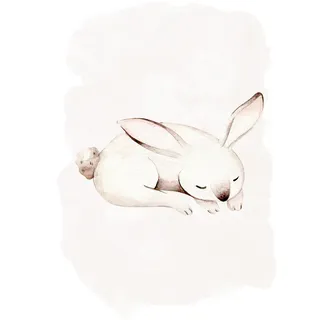 Komar Bild "Sleepy Bunny" Natur 1 Stk. tlg. Wandbild zur Dekoration - ohne Rahmen, farbe bild(er): schwarz, weiß