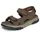 Brown 45 5