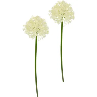 Flair Flower Kunstblume Allium Zierlauch Kugelblume Zweig Einzelblume Stielblume Floristik künstliche Blumen Beiwerk für künstliche Blumen-Sträuße und Bouquets Blumengestecke Dekoblume Blumenlauch