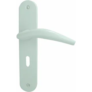 DT 2000 Chamonix 602530 Tür Griff Stahl auf Rückplatte ohne Schlüsselloch Aluminium weiß