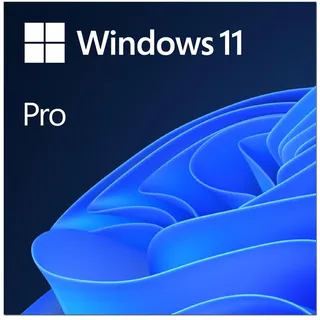 Microsoft Windows 11 Pro 64-Bit ESD DE
