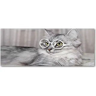 Tulup® Küchenrückwand Spritzschutz aus Glas -125x50 -Spritzschutz auf gehärtetes Glas Deko Tiere Katze mit Brille - Grau