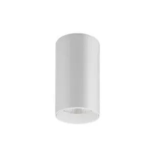 Brumberg 88844174 LED-Anbauleuchte 230 V AC, 50 Hz, rund, CRI > 90, 28 W, 40°, 4.000 K, weiss str