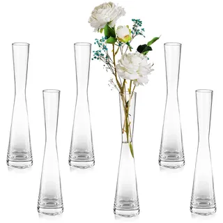 Glasseam Blumenvase Modern Glasvasen Schmal: 6er 24.5cm Hoch Blomus Vase Glas Set Handmade Schmale Vasen Wohnzimmer Esstisch Tischdeko Tulpenvase Dekovase für Pampasgras Tulpen Rose Hochzeit Deko