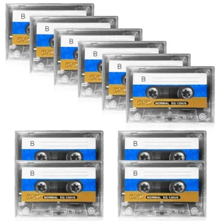 10 Stück Audio Kassetten Leer: 90 Min Empty Cassette Tapes, Leere Audiokassetten, Rauscharm Hohe Leistung, Transparenter Kunststoff-Kassettenbandhülle für Vorlesungen, Seminare und Alltagsaufnahmen