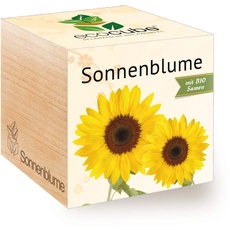 Feel Green 296268 Ecocube Sonnenblume, Bio Zertifiziert, Nachhaltige Geschenkidee (100% Eco Friendly), Grow Your Own/Anzuchtset, Pflanzen Im Holzwürfel, Made in Austria