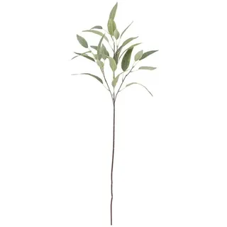 Bloomingville Eucalyptus