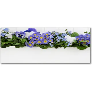 Tulup® Küchenrückwand Spritzschutz aus Glas -125x50 -Spritzschutz auf gehärtetes Glas Deko Blumen & Pflanzen Blaue Blumen