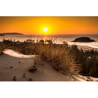 Papermoon Fototapete »Strand Sonnenuntergang«, bunt