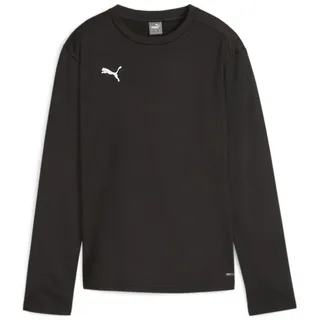 Puma teamGOAL Training Sweat Schwarz XL