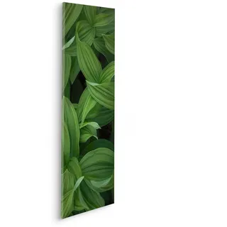 Komar Leinwandbild »Ancilla - Größe 30 x 90 cm« Natur 1 Stk. tlg. Keilrahmenbild mi Echtholzrahmen, grün