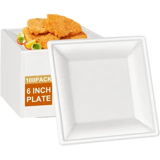 greensight Eckig Zuckerrohr Teller Einwegteller - 16cm 100 Stück Bagasse Pappteller quadratisch weiß klein Einweg Bio Partyteller Einmal Biologisch Geschirr Einmalteller für BBQ