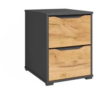 Vicco Kommode Ruben Goldkraft Eiche 40 x 53.6 cm mit Schubladen , Honigeiche, Anthrazit , Holzwerkstoff , 2 Fächer , 2 Schubladen , Rechteckig , 40.2x53.6x48 cm , Schlafzimmer, Nachtkästchen