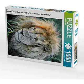 Calvendo Puzzle Braunes Löwen Männchen. Ein Motiv aus dem Kalender Big Cats Fazinierende Nah-Portraits" 1000 Teile Lege-Größe 64x48cm Foto-Puzzle für glückliche Stunden