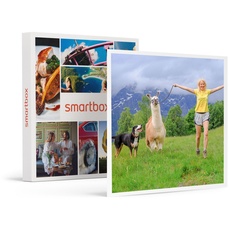 smartbox - Geschenkbox 1-stündige Alpaka-Wanderung für 2 Personen - Originelle Geschenkidee