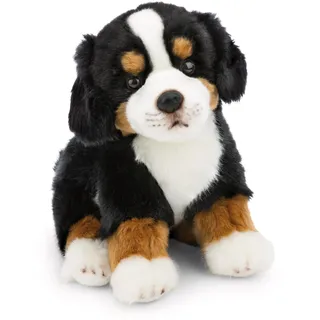 NICI Kuscheltier Hund Berner Sennenhund