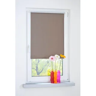 Liedeco Seitenzugrollo blickdicht energiesparend ohne Bohren, grau