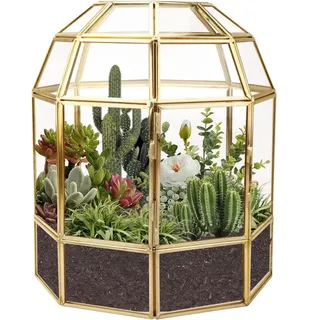 9,2 Zoll große geometrische Terrarium Pflanzenbox, hausförmige schwarze handgefertigte Glasbox, Vintage Tisch Miniatur Blumentopf für Sukkulenten, Kakteen, Luftpflanzen (goldene Vogelkäfigform)