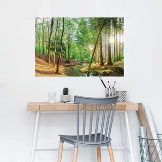 Poster REINDERS "Wald in der Sonne", grün (farbe bild(er): grün), B:91,5cm H:61cm T:0,1cm, Holzwerkstoff, Bilder, Poster