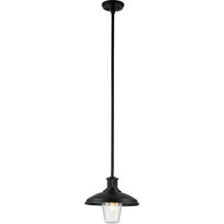 Außen Hängeleuchte, Stahl Alu, schwarz , Glas klar, D 30,5 cm - Schwarz