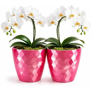 PECZEKO glänzender Blumentöpfe, Kunststoff-Pflanzentöpfe, dekorativer Blumentopf für große und kleine Blumen, 2er-Set Blumentöpf, Pflanztopf, Kräutertopf, (2 Pack) Rosa, ø 20 cm