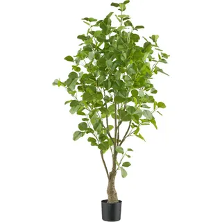 Creativ green »Eukalyptus« mit sehr naturgetreu gestalteten Blättern,