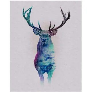 KOMAR Wandbild Animals Deer 40 x 50 cm