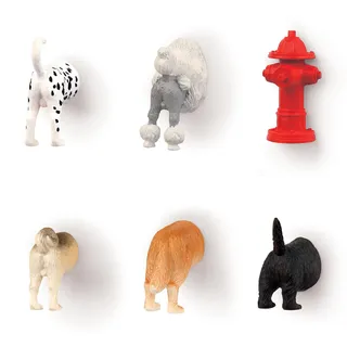 Kikkerland Kühlschrankmagnete mit Hundeknochen