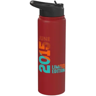 Seit Juni 2015 Jahr 2015 Retro 2015 Vintage 2015 Edition Stainless Steel Insulated Water Bottle