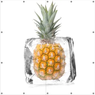 Wallario Outdoor-Poster für Garten oder Balkon, Motiv Ananas in Eiswürfel - Eiskaltes Obst, in ca. 180 x 180 cm - Weiß