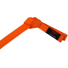 DEPICE Unisex – Erwachsene Kampfsportgürtel Gürtel, orange, 180cm