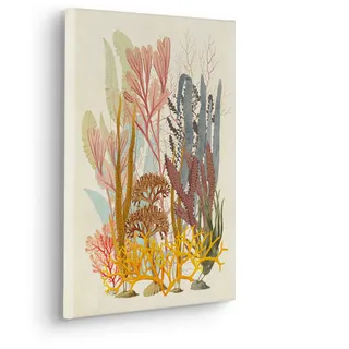 KOMAR Leinwandbild »Coral Aqua - Größe 30 x 40 cm« Natur 1 Stk. tlg. Keilrahmenbild mi Echtholzrahmen, bunt