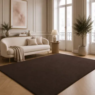 The CarPET Teppich 300 x 400 cm Braun