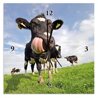 ARTland Wanduhr auf Alu Quarzuhr - schwarzer Zeiger Holstein-Kuh mit gewaltiger Zunge Größe: 30x30 cm - Blau