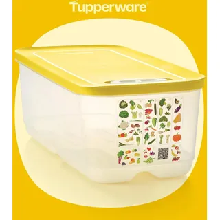 Tupperware A27 Klima Oase Ventsmart 6,1 l gelb - Gelb
