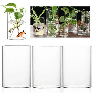 Glaszylinder Mit Boden, 3 Stück 10 * 15cm Zylindervase, Klarglas Glasvase Zylinder, Modern Zylindrisch Glasvase, Windlicht Glas Kerzenhalter, Satz Blumen Vasen Set Für Orchideen, Rosen, Tulpen, Kerze