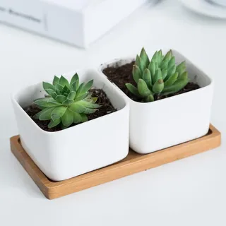 Bambus Tablett - 8 Stück - Geeignet für Dekoration - Klein - 17,5 x 8,8 x 0,9 cm