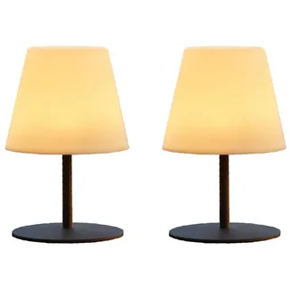 Lumisky TWINS Grau 2 St.