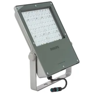 Philips Außenstrahler Aluminium 162 W 21000 lm inkl. Bewegungsmelder grau