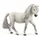 Islandpony Stute 13942