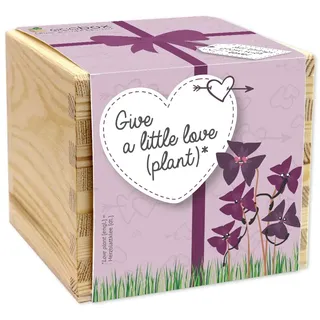 Feel Green - WE CREATE NATURE ecobox, Herzblattklee Give a little love (plant), Pflanzen Aus Der Holzbox 11x11x10cm, Made in Austria, Nachhaltige Geschenkidee, Grow Your Own/Anzuchtset