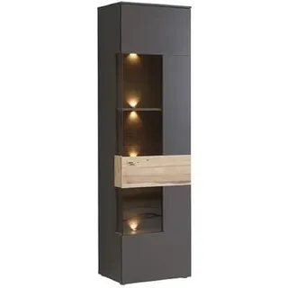 Forte Vitrine Como 60,4 x 41,3 x 203,3 cm Grau