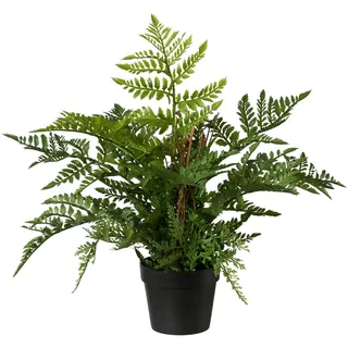 Kunstpflanze CREATIV GREEN "Farn", grün, H:45cm Ø:35cm, Kunststoff, Kunstpflanzen, Kunstpflanze, im Kunststofftopf
