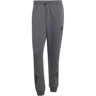 adidas Future Icons 3 Stripes Jogginghose Grau XXL