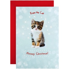 Hallmark RSPCA Weihnachtskarte mit niedlichem Fotodesign von der Katze