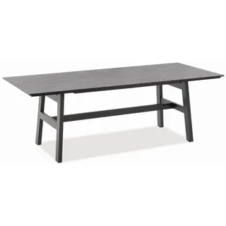 Niehoff Tavo Tisch 220-280 x 95 x 76 cm Beton-Design