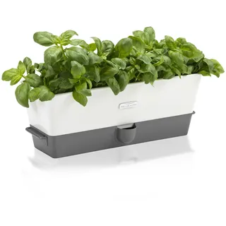 Cole & Mason Burwell 3-Fach Kräutertopf Selbstbewässernd 12 x Pads  Weiß