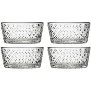 Iittala Tundra Schalen 4er Set 250 ml Glas klar Ø 10,4 cm, Design Oiva Toikka, Dessertschale Frühstücksschale spülmaschinengeeignet
