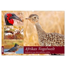 Afrikas Vogelwelt 2024 (Wandkalender 2024 DIN A2 quer), CALVENDO Monatskalender