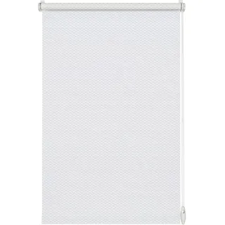 GARDINIA Rollo Shaun, 60 x 160 cm